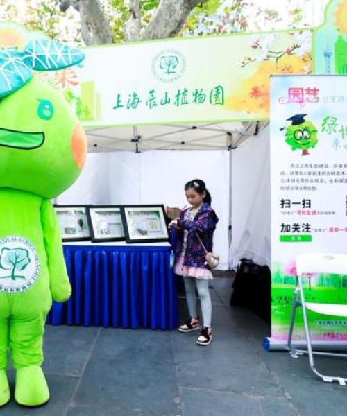 青浦区庭院设计公司排名及其服务详解