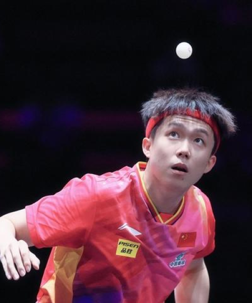 2024新澳门天天彩期期精准｜经典解释落实