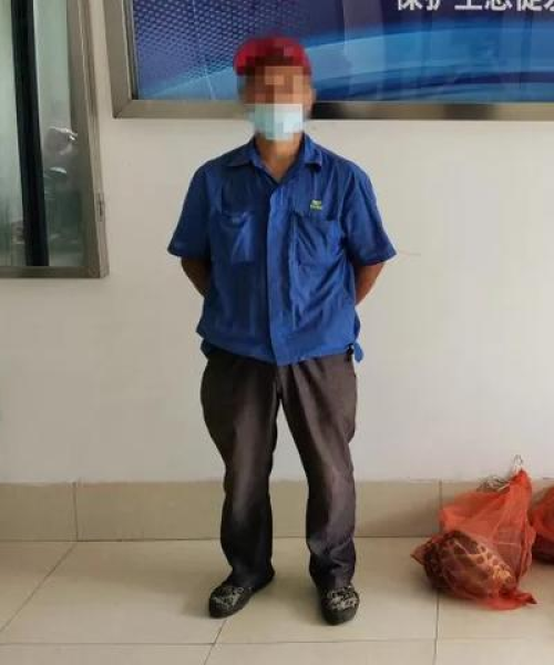 浙江乌龟分布图最新报告揭示，浙江乌龟栖息地的广泛分布与保护现状