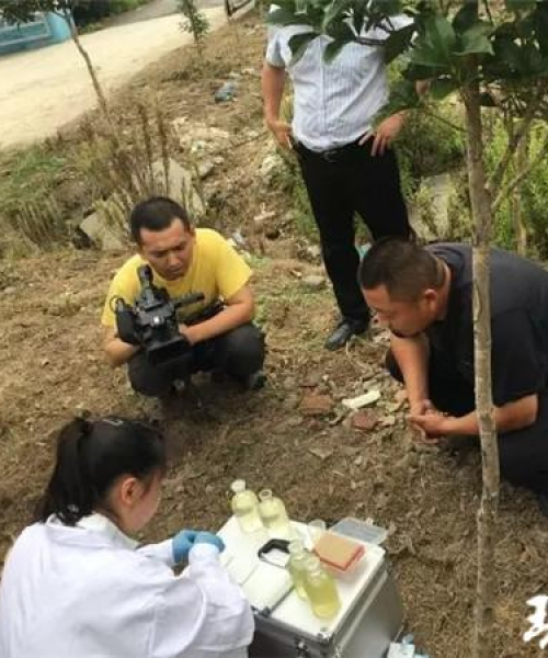 泰州港荣登全球港口排名榜，实力展现瞩目成就