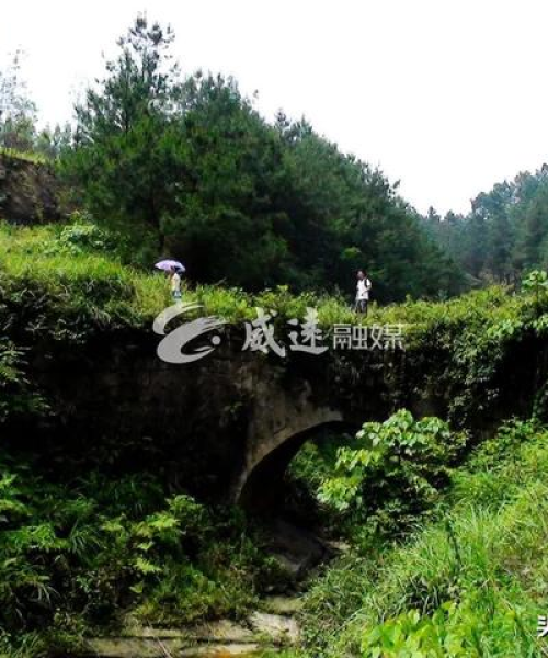 威远县最新消息，煤炭燃烧情况全面解读