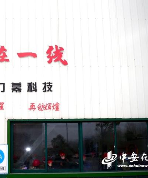 小鸟伊人