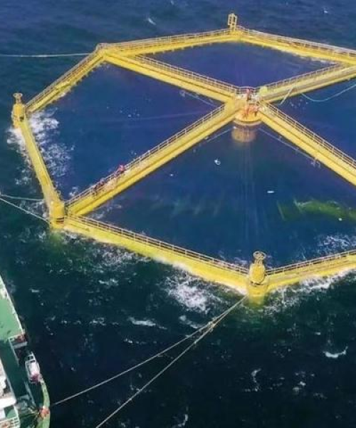 世界最大深海鱼塘排名