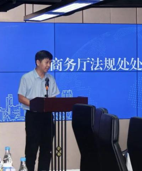 商务合作模式探索，成功案例分享